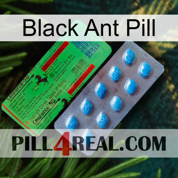 Black Ant Pill new03.jpg